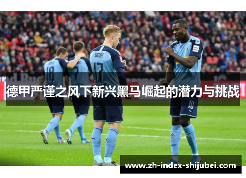 德甲严谨之风下新兴黑马崛起的潜力与挑战